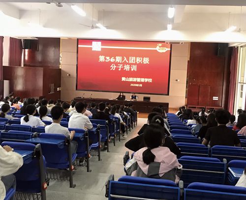 凝聚青年力量，綻放最美芳華